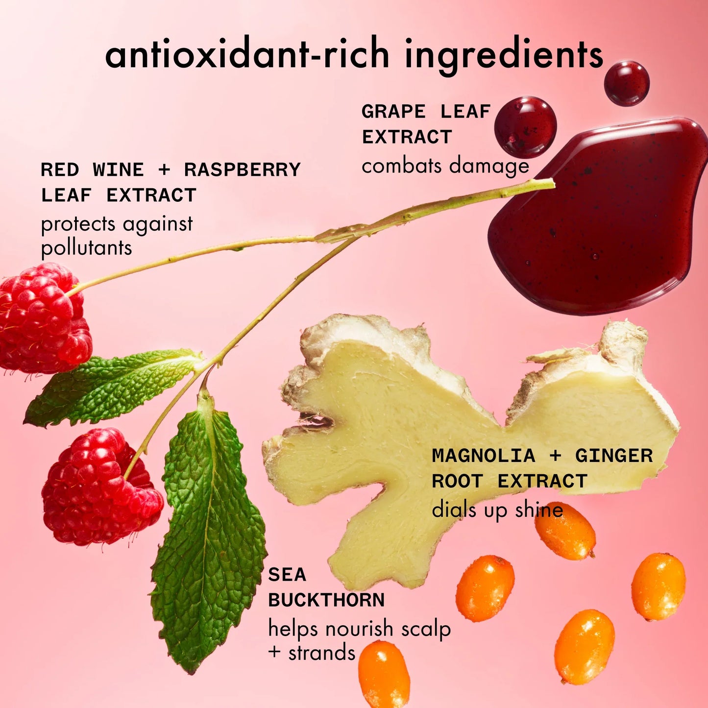 mirrorball high shine + protect antioxidant shampoo - 9.2 oz / 275 ml