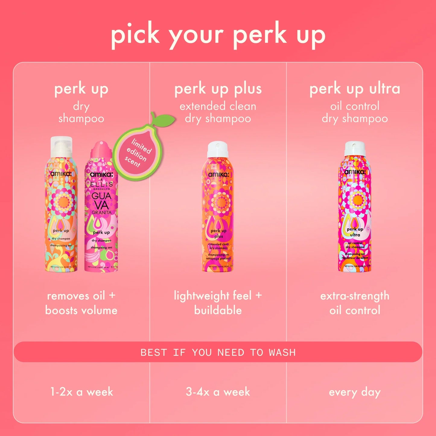 beach day besties dry shampoo duo