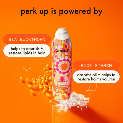 soften + refresh duo perk up dry shampoo + soulstruck mask set
